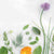 Küchenrückwand selbstklebend - Blüten & Kräuter