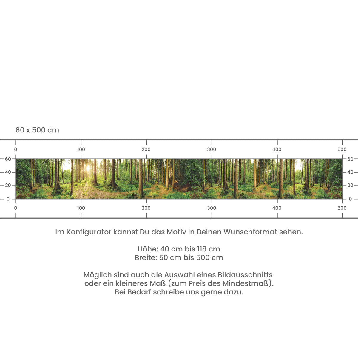 Küchenrückwand selbstklebend - Sonnenstrahlen im Wald